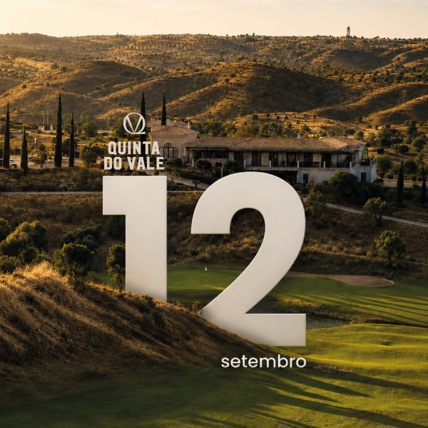 cartaz_site (1)
